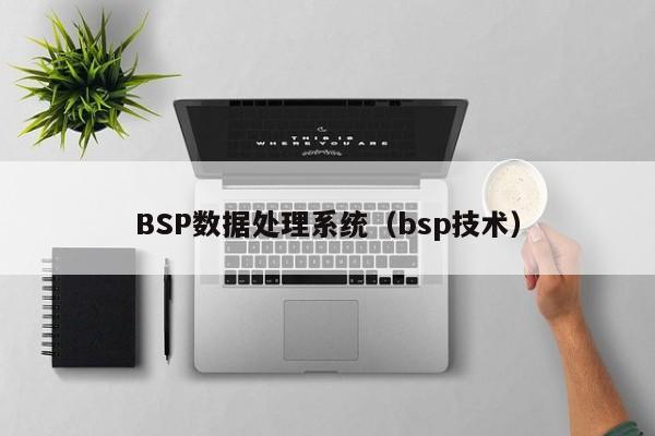 BSP数据处理系统（bsp技术）