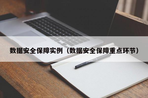 数据安全保障实例（数据安全保障重点环节）