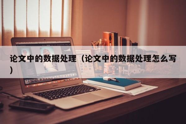 论文中的数据处理（论文中的数据处理怎么写）