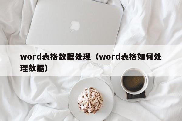 word表格数据处理（word表格如何处理数据）