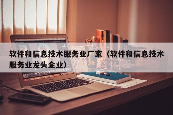 软件和信息技术服务业厂家（软件和信息技术服务业龙头企业）