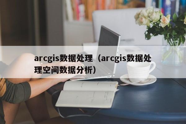 arcgis数据处理（arcgis数据处理空间数据分析）